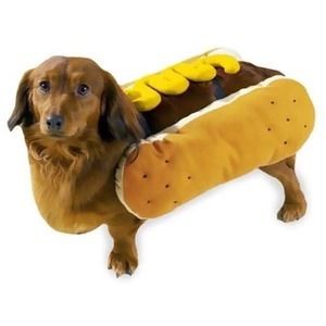 Casual Canine Hot Diggity Dog Mustard Costume Large New Unopened